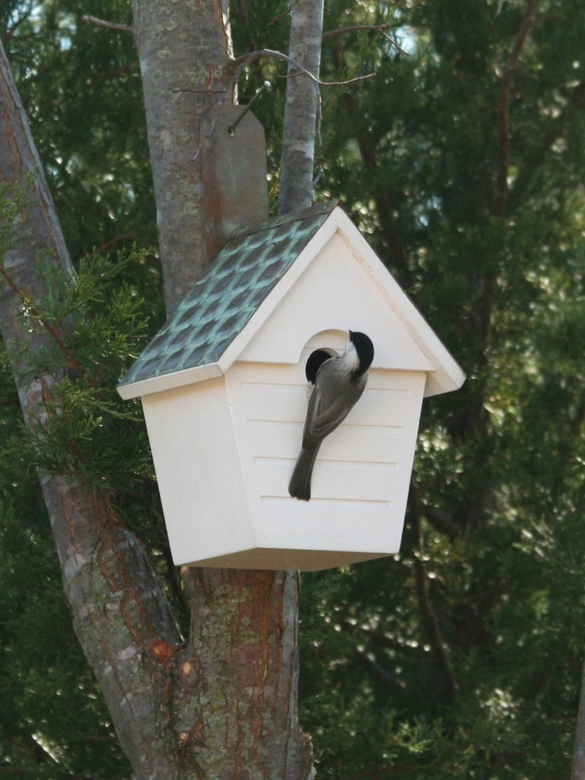 Classic Cottage Bird House With Verdigris Copper Roof 1 Classic Cottage Bird House With Verdigris Copper Roof