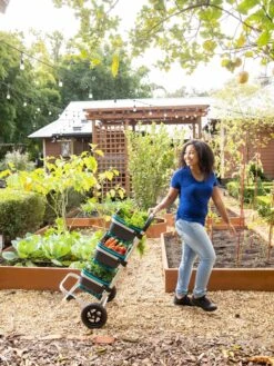 Mod Hod Trolley With Teal Mod Hods 7 Mod Hod Trolley With Teal Mod Hods -Garden Care Shop 8610240 0070 tif