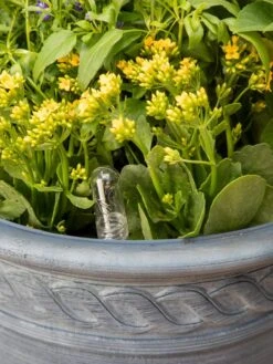 Adjustable Self-Watering Insert For Pots And Planters 19 Adjustable Self-Watering Insert For Pots And Planters -Garden Care Shop 8610250 0010 tif