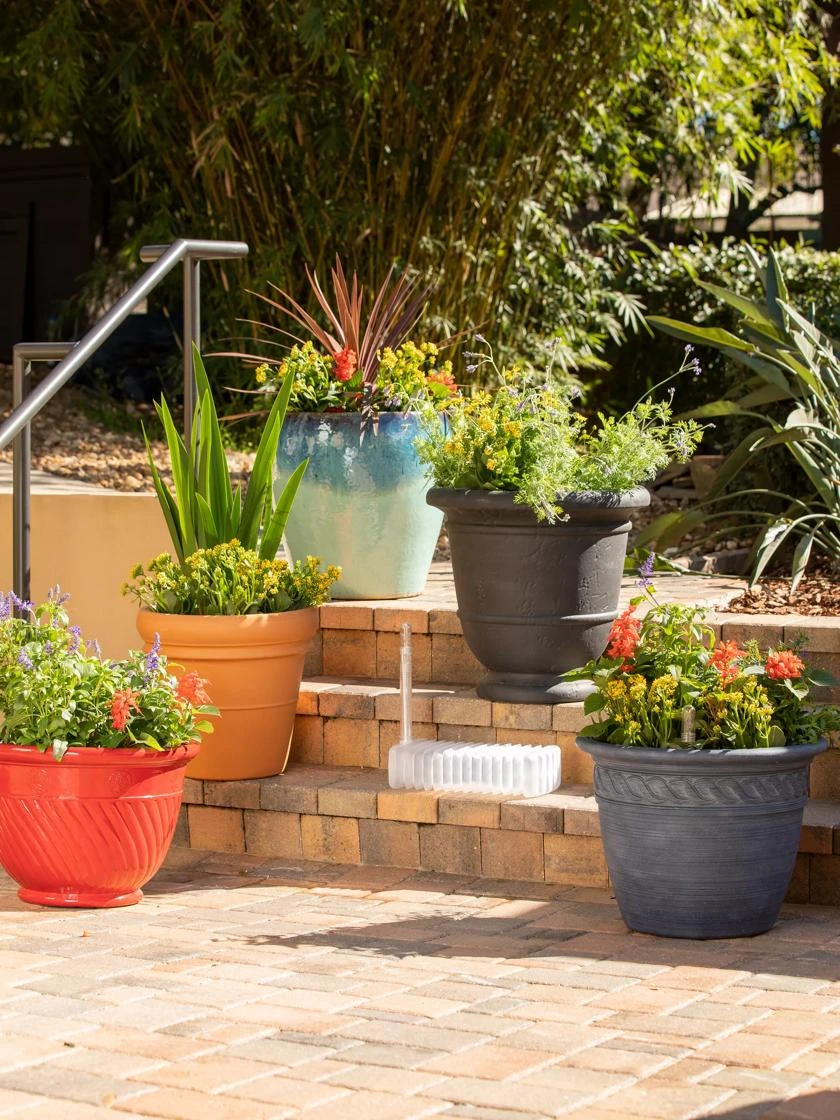 Adjustable Self-Watering Insert For Pots And Planters 2 Adjustable Self-Watering Insert For Pots And Planters - Image 2