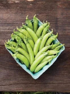 Family Garden Organic Seed Collection, Set Of 7 9 Family Garden Organic Seed Collection, Set Of 7 -Garden Care Shop 8610262 cascadia peas 01V tif