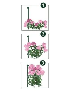 New Arrival -Garden Care Shop 8610383 07v