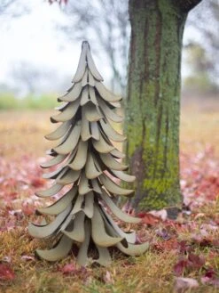 Desert Steel Blue Atlas Cedar