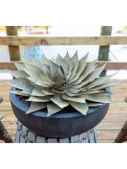 Desert Steel Spiral Aloe Sculpture -Garden Care Shop 8610750 02v