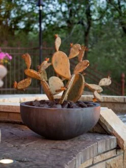 Desert Steel Prickly Pear Cactus Sculpture, Redondo -Garden Care Shop 8610768 03v