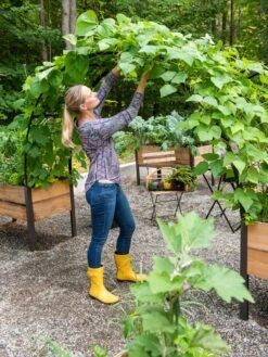 2’ X 8’ Arch Trellis For Planter Boxes -Garden Care Shop 8610798 050 tif