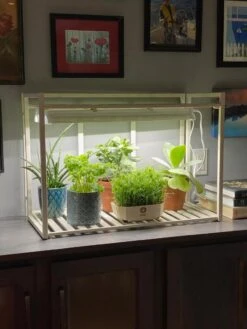 Oslo 1-Tier LED Grow Light Garden 12 Oslo 1-Tier LED Grow Light Garden -Garden Care Shop 8611002 01IN tif