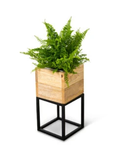 Tartu Elevated Square Planters -Garden Care Shop 8611004 038