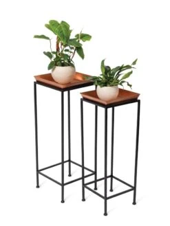 Square Nesting Plant Stands With Trays, Set Of 2 9 Square Nesting Plant Stands With Trays, Set Of 2 -Garden Care Shop 8611014 2872 tif