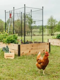 Tall Chicken Wire Critter Fence With Gate -Garden Care Shop 8611020 316 tif