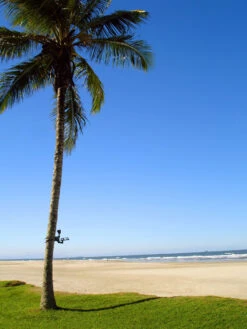 MAXSA® Solar-Powered LED Flag Light -Garden Care Shop 8611318 02v