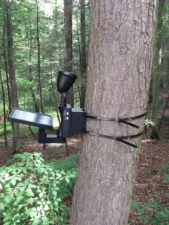 MAXSA® Solar-Powered LED Flag Light -Garden Care Shop 8611318 03v