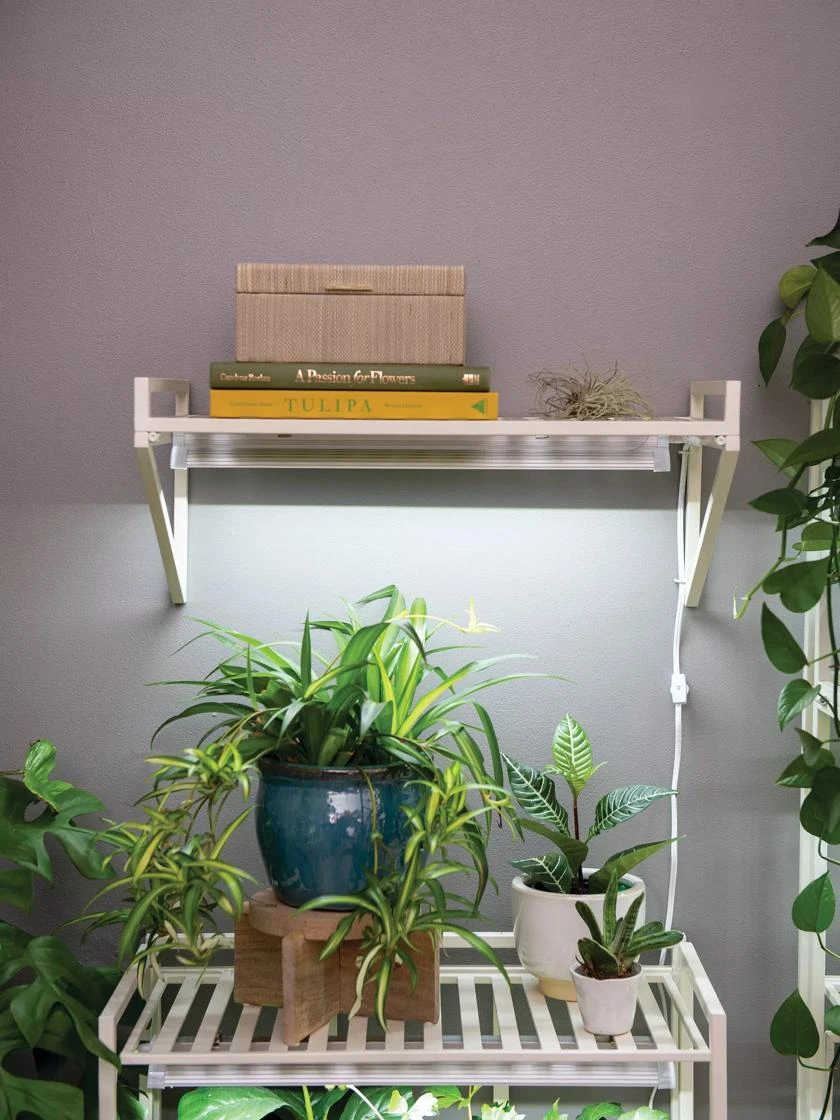 Oslo LED Grow Light Wall Shelf 2 Oslo LED Grow Light Wall Shelf - Image 2