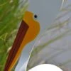 Florida Dancing Birds®, American White Pelican