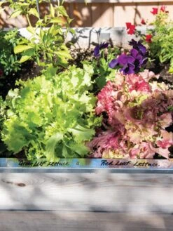 Re-Markable Raised Bed Trim -Garden Care Shop 8611758 306 tif