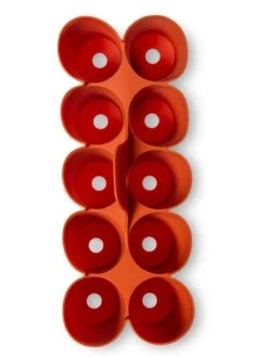 Sili-Seedlings® Seedling Tray, 10-Cell 10 Sili-Seedlings® Seedling Tray, 10-Cell -Garden Care Shop 8611886 3821 tif