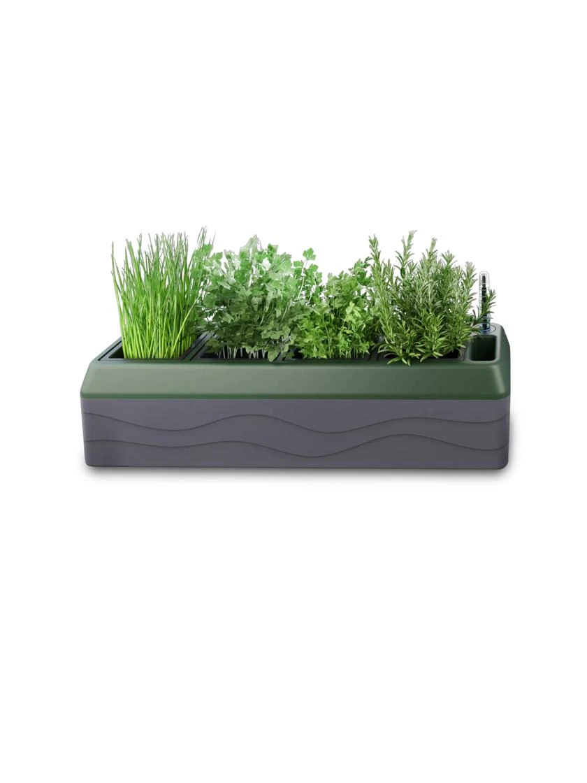 Provence Self-Watering Herb Planter 6 Provence Self-Watering Herb Planter - Image 6