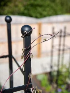 Essex Square Obelisk -Garden Care Shop 8611984 278 tif