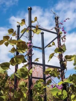 Essex Square Obelisk -Garden Care Shop 8611984 354 tif