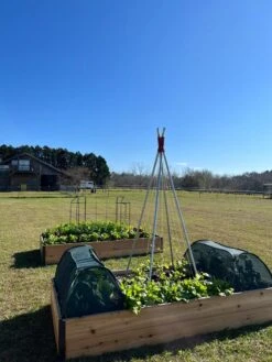 Insect And Pest Net Row Protector -Garden Care Shop 8611985 04 tif