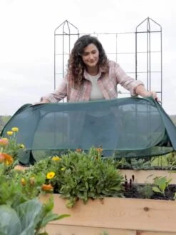 Insect And Pest Net Row Protector -Garden Care Shop 8611985 8390 tif