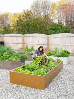 Somerset Metal Raised Beds, As Is -Garden Care Shop 8612020 0014 tif 1