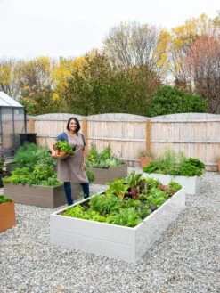 Somerset Metal Raised Beds, As Is -Garden Care Shop 8612020 0016 tif 1