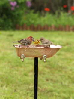Copper Bathtub Birdbath 11 Copper Bathtub Birdbath -Garden Care Shop 8612202 01v copper bathtub birdbath