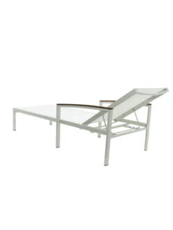 Braylee Reclining Chaise Lounge 13 Braylee Reclining Chaise Lounge -Garden Care Shop 8612262 06v