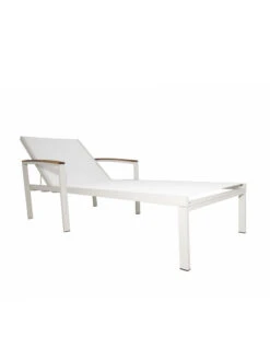 Braylee Reclining Chaise Lounge 11 Braylee Reclining Chaise Lounge -Garden Care Shop 8612262 07v
