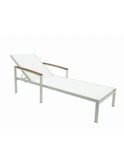 Braylee Reclining Chaise Lounge 15 Braylee Reclining Chaise Lounge -Garden Care Shop 8612262 08v