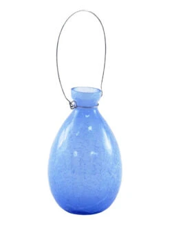 Achla Designs Teardrop Rooting Vase -Garden Care Shop 8612530bll 03v