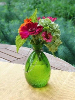Achla Designs Teardrop Rooting Vase -Garden Care Shop 8612530fg 01v