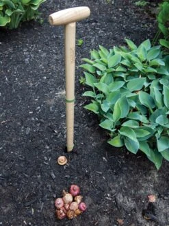 Wicked Big Dibber -Garden Care Shop 8612667 0028