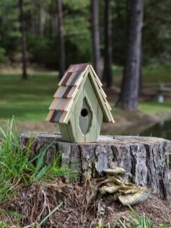 Vintage Wren Bird House -Garden Care Shop 8612783 02v