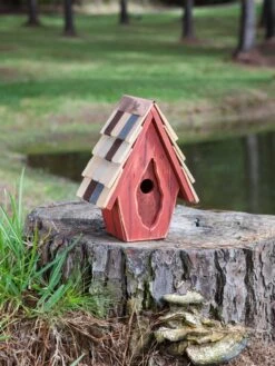 Vintage Wren Bird House -Garden Care Shop 8612783 03v