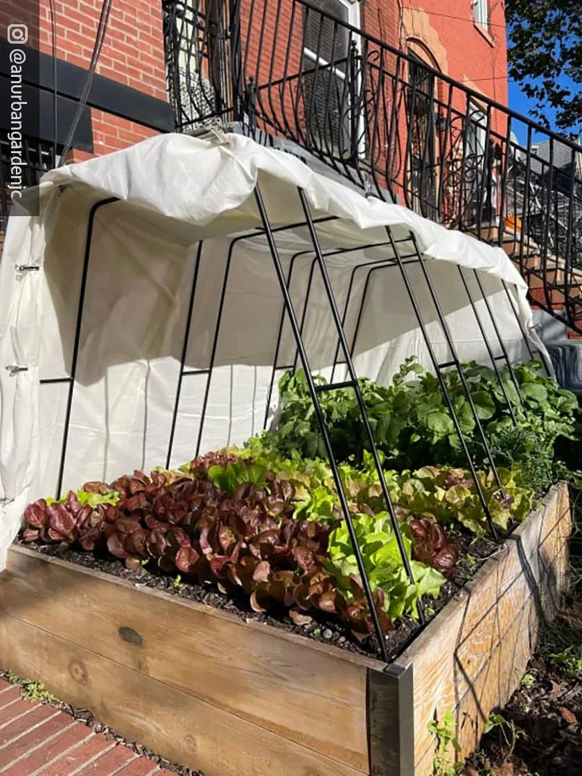 Cotton All Purpose Garden Cover 4 Cotton All Purpose Garden Cover - Image 4