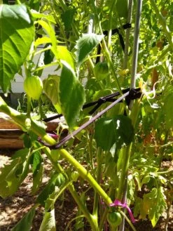 Farmyarn® Multipurpose Garden Tie, 2 Pack -Garden Care Shop 8612948 02v