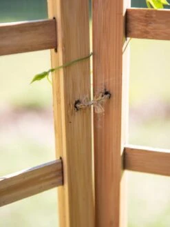 Bamboo Zig-Zag Trellis 24" X 36" -Garden Care Shop 8613151 6483