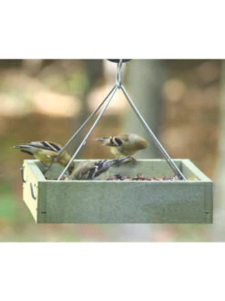 Birds Choice™ Tray Bird Feeder, Small -Garden Care Shop 8613221 03v