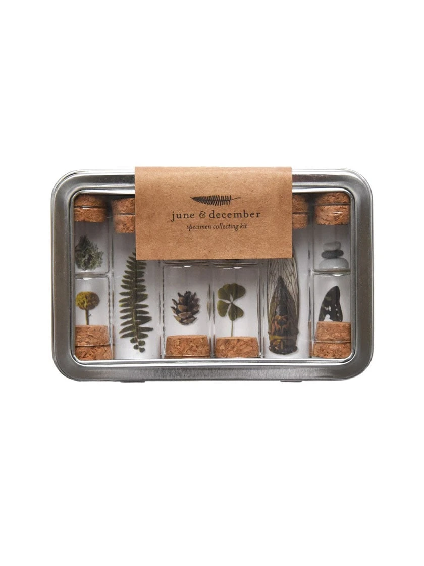 Botanical Specimen Collecting Kit 1 Botanical Specimen Collecting Kit