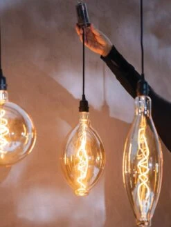 Retro Essence™ Vintage LED Light Bulbs -Garden Care Shop 8613229 7066