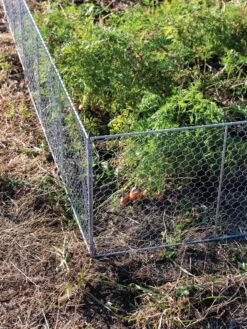Chicken Wire Critter Fence, 16" High -Garden Care Shop 8613249 0358