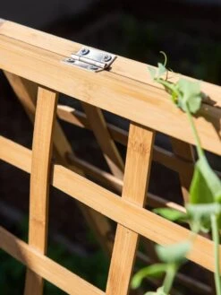 Bambo A Frame Plant Support, 30" X 42.5" -Garden Care Shop 8613310 6525