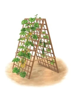 Bambo A Frame Plant Support, 30" X 42.5" -Garden Care Shop 8613310 art flat