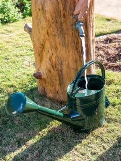 Long Reach Watering Can, Large 9 Long Reach Watering Can, Large -Garden Care Shop 8613346 0147