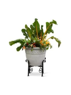 Covington Adjustable Plant Stands 18 Covington Adjustable Plant Stands -Garden Care Shop 8613347 0119