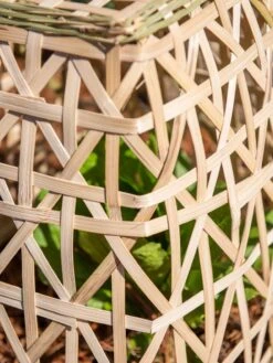 Bamboo Cloche, Set Of 2 17 Bamboo Cloche, Set Of 2 -Garden Care Shop 8613351 0153