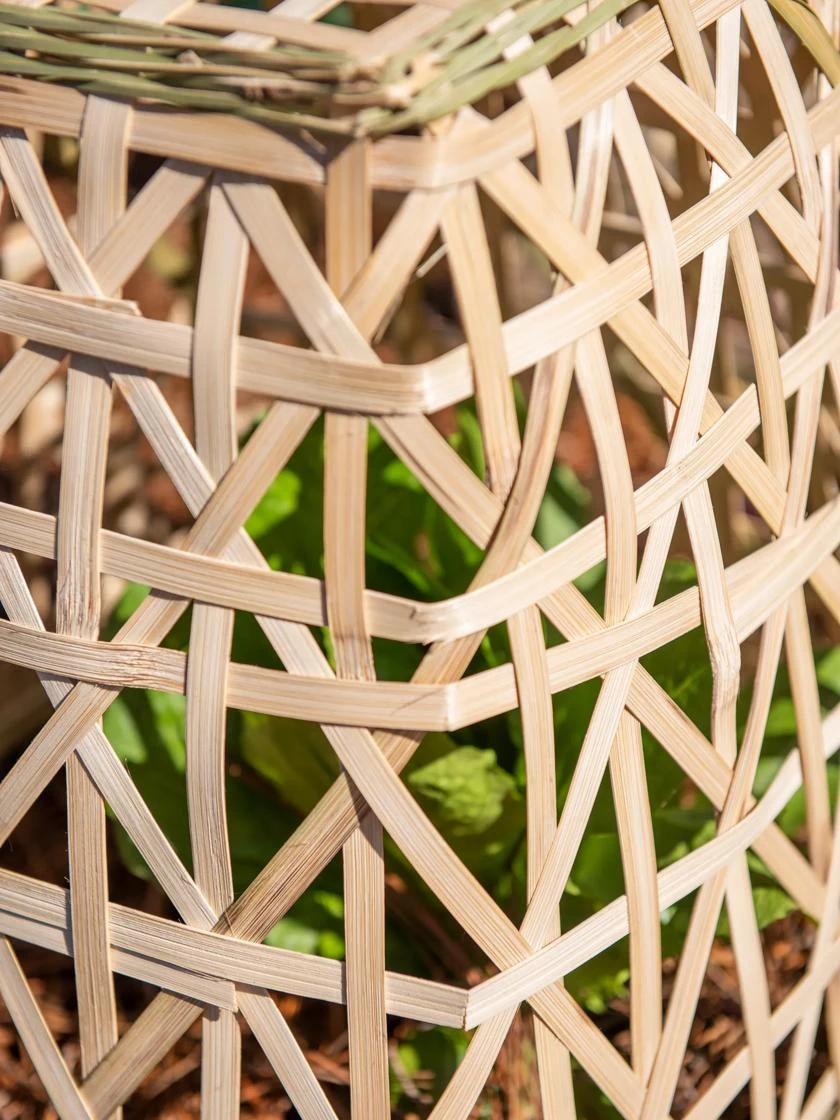 Bamboo Cloche, Set Of 2 8 Bamboo Cloche, Set Of 2 - Image 8