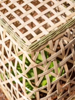 Bamboo Cloche, Set Of 2 16 Bamboo Cloche, Set Of 2 -Garden Care Shop 8613351 0154